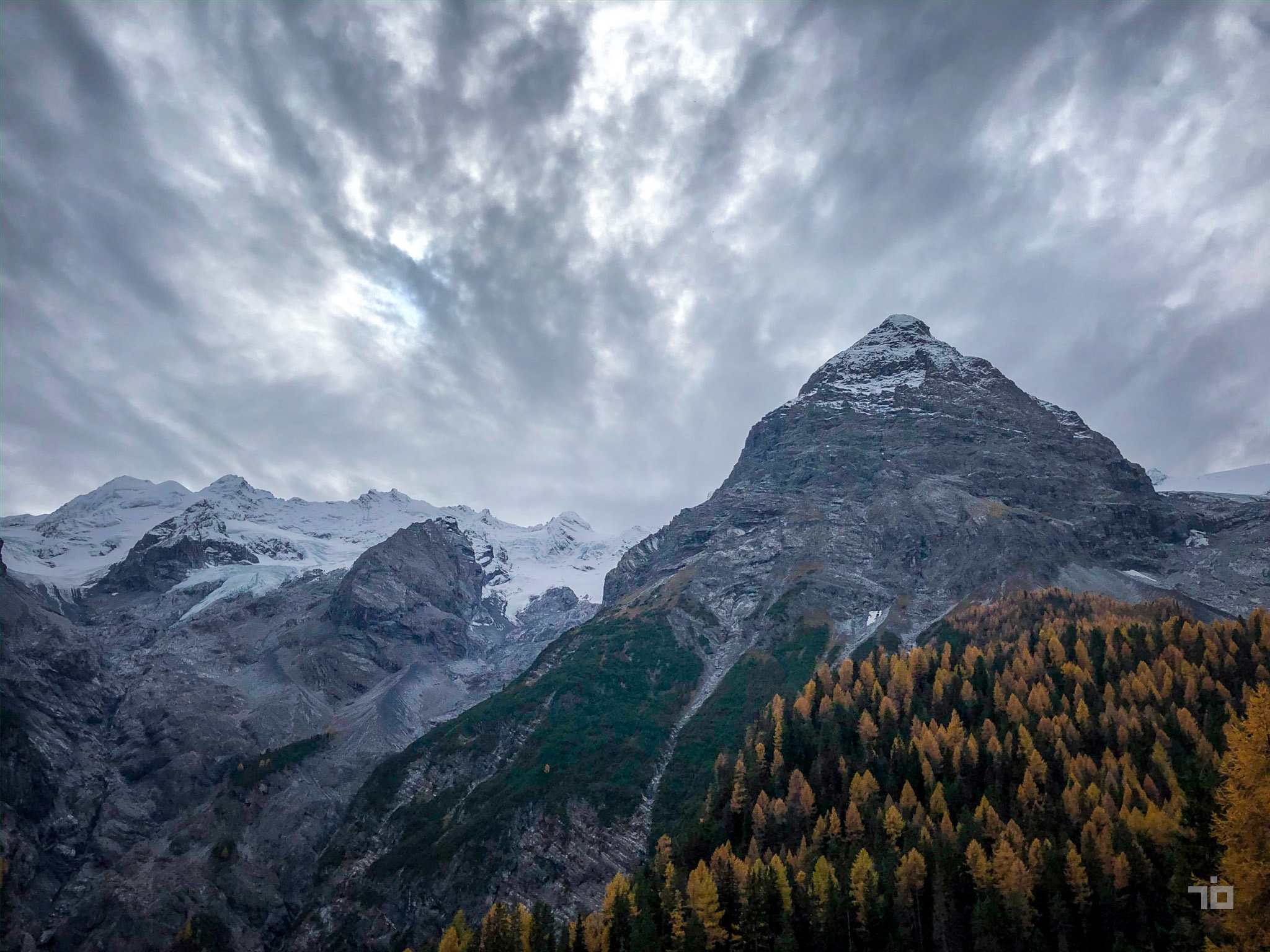 Ortler